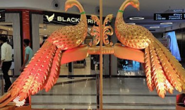 Dussehra celebrations in Pacific D21 Mall go digital for protection of environment